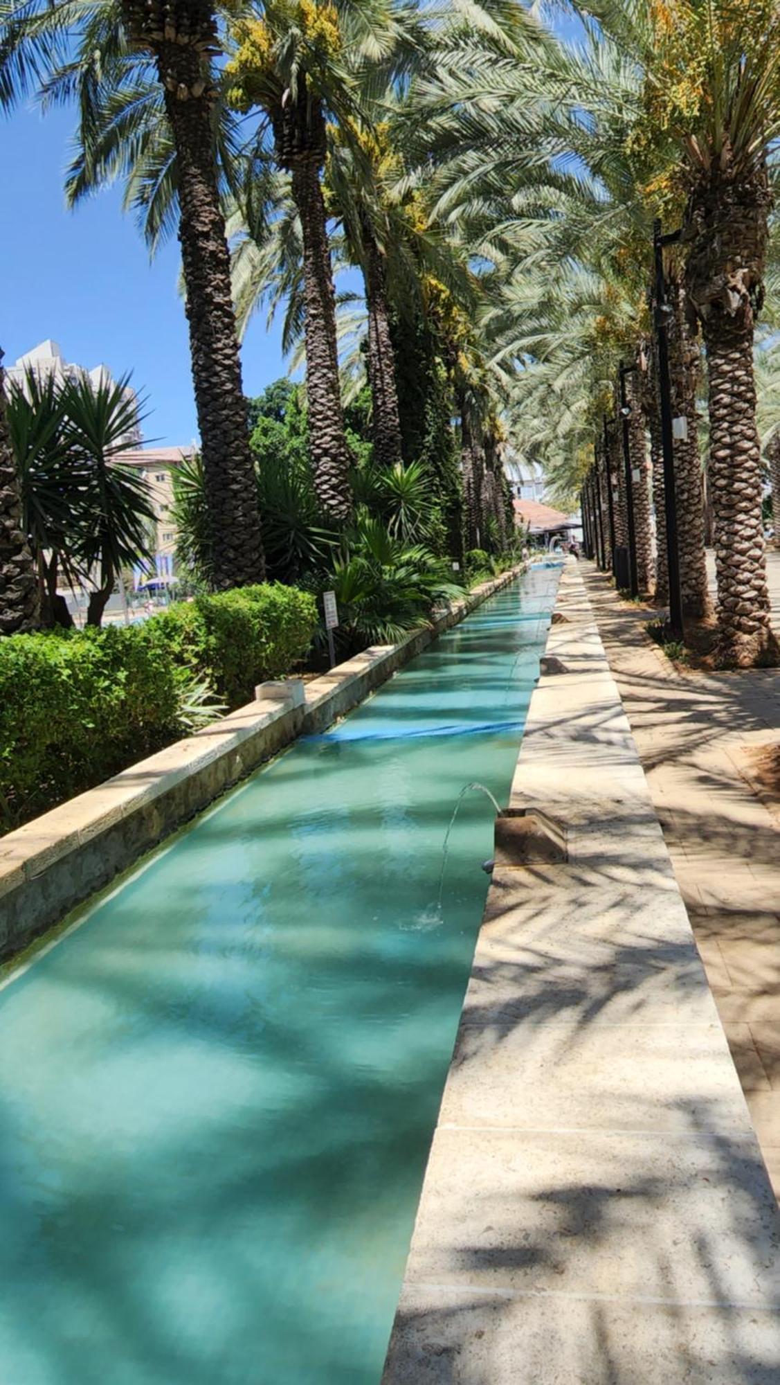 Appartamento יחידת דיור Rishon Leziyyon Camera foto